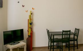 IMG 4137